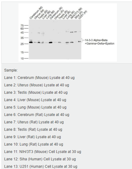 6051b2b47c794.png image.png