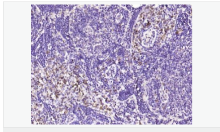 6052a7714ac6e.png image.png