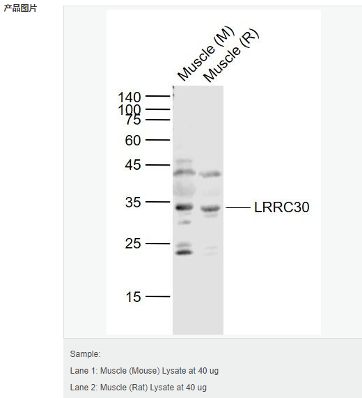 6052a8d8c7799.png image.png