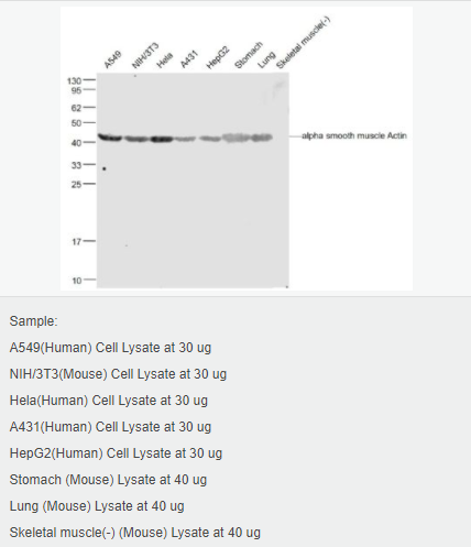 6052ae7f6bf77.png image.png