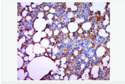 6052afc9806cb.png image.png