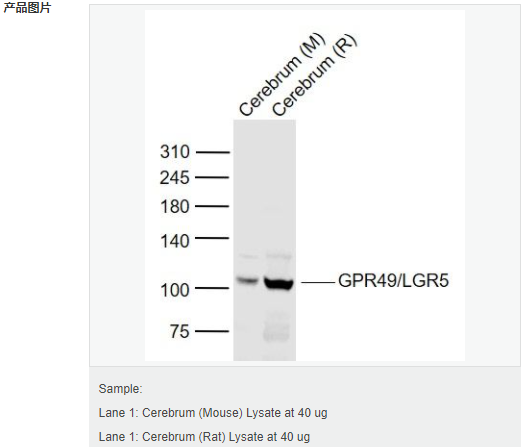 605412ce32584.png image.png