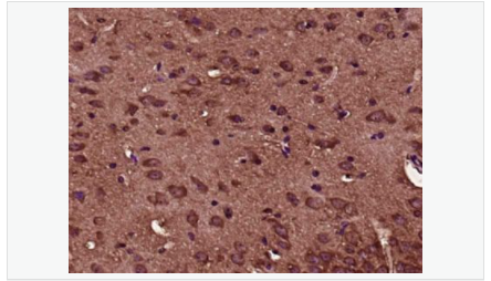 60543765ad52d.png image.png