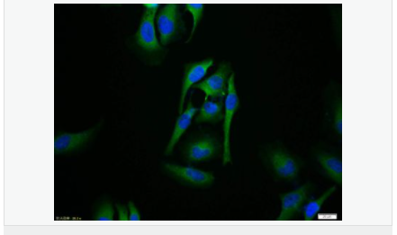 6054376cdc202.png image.png