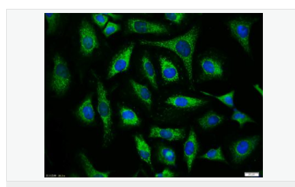 60543fee4f7d7.png image.png