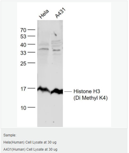 60544d5da7fc4.png image.png