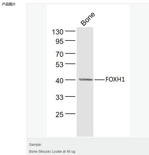 6054601f4ef39.png image.png