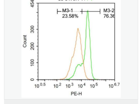 60582a5a56691.png image.png