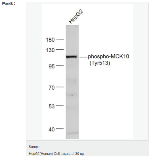 60583b28cf336.png image.png