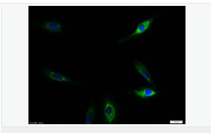 60583c0b01bef.png image.png