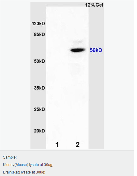 605840a01788d.png image.png