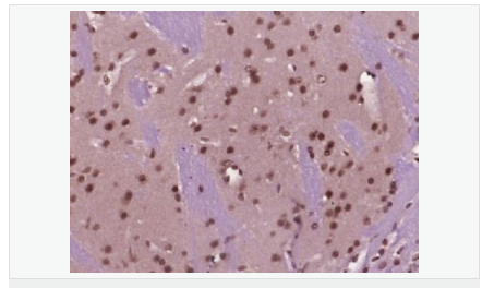 6059458a8fa58.png image.png