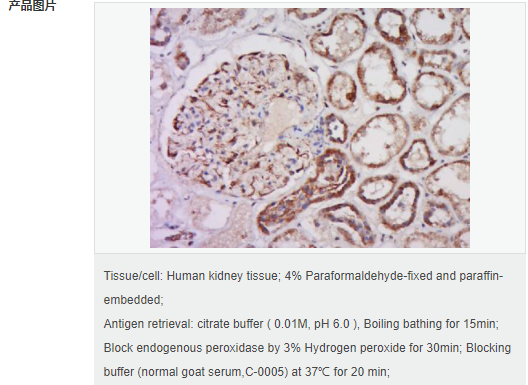 605949ad51699.png image.png