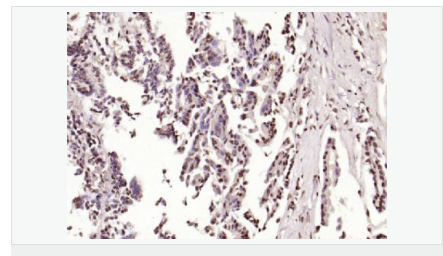 6059520a196fd.png image.png