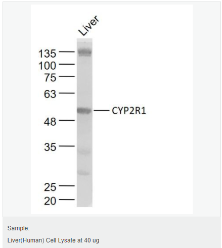 6059a9ae044a2.png image.png