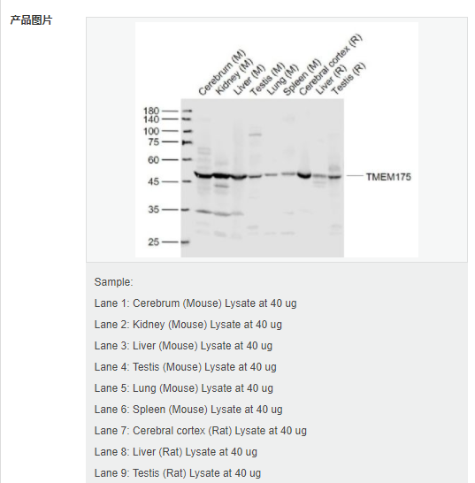 605acdc907256.png image.png