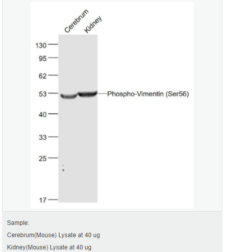 605c3ffb6f5a2.png image.png