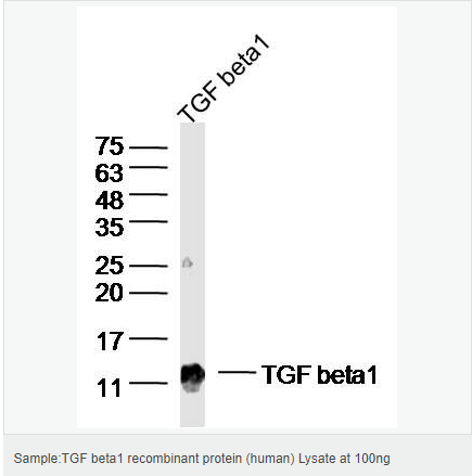 605d842b09b64.png image.png