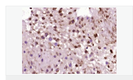 605d85f64e1a0.png image.png