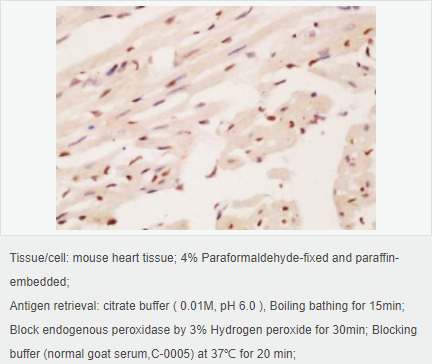 605d89122e6a9.png image.png