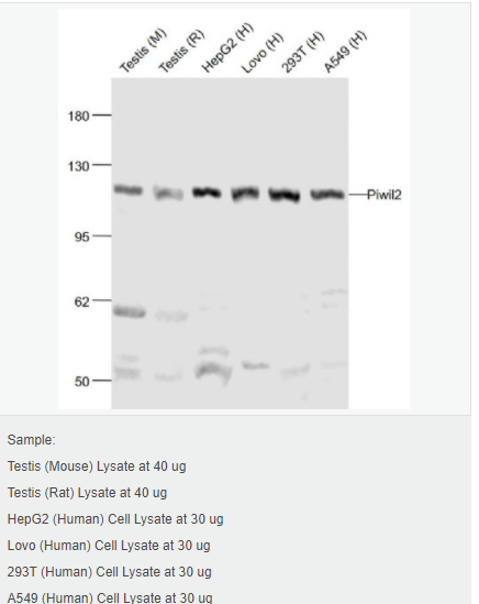 606199e1469e7.png image.png