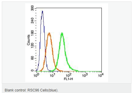 6063d0518b278.png image.png