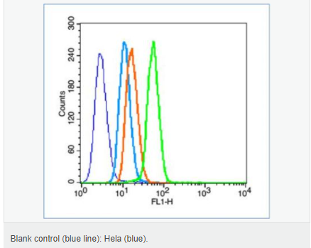 606429179a0f1.png image.png