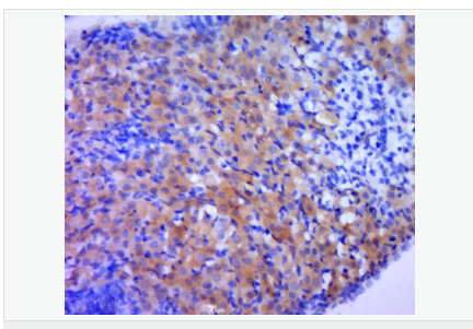 6066ae48dd0b2.png image.png