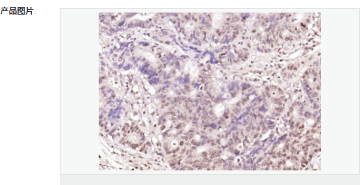 6066ba22c6ef5.png image.png