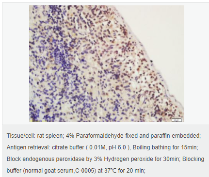 6066d231a70c4.png image.png