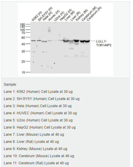 606bc450cde68.png image.png