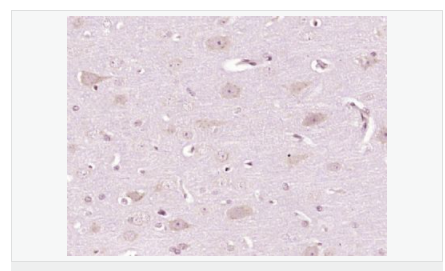 606bc8a2a3a24.png image.png