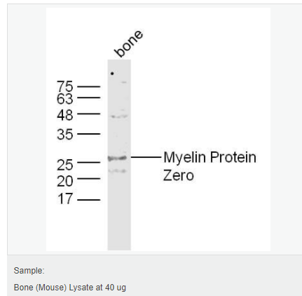 607647c6cc142.png image.png