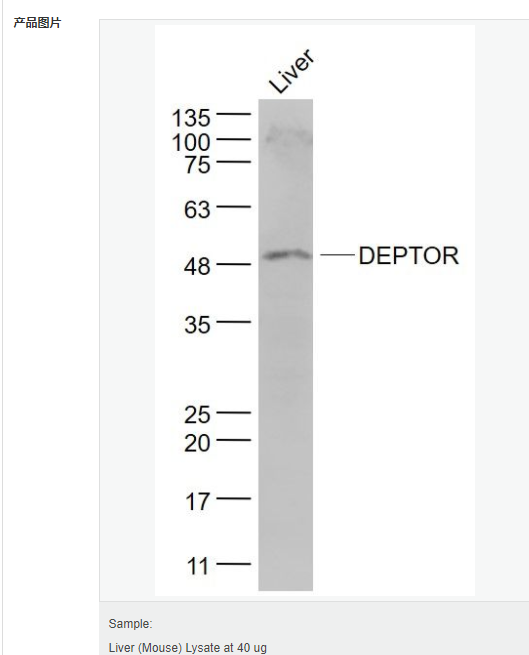 60765232ae45c.png image.png