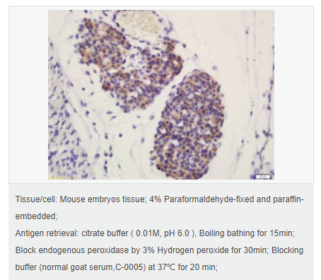 60765a329e5e5.png image.png