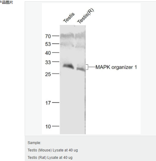 60765c24c7646.png image.png