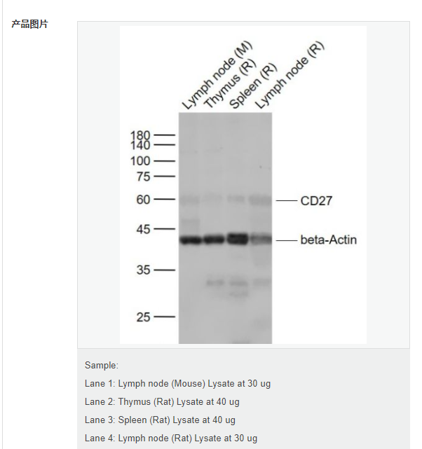 60768581b3fba.png image.png