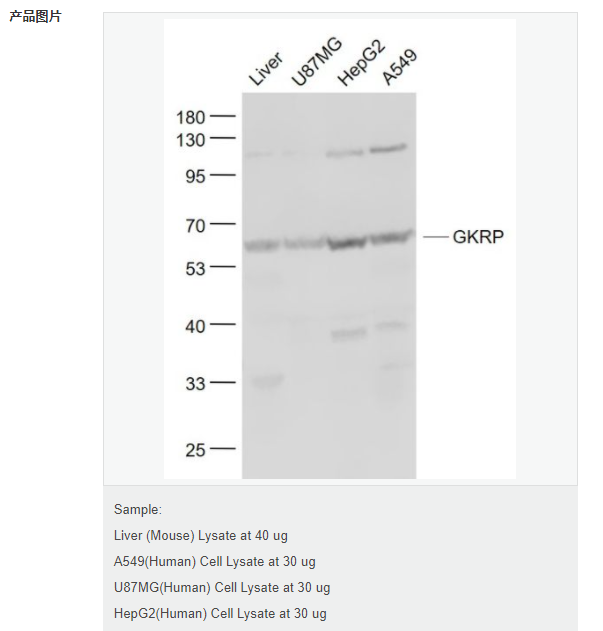 6076886599190.png image.png