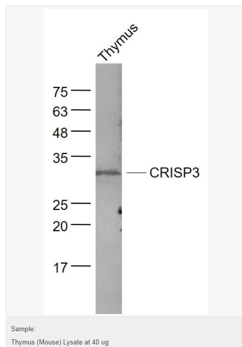 6076937fea135.png image.png