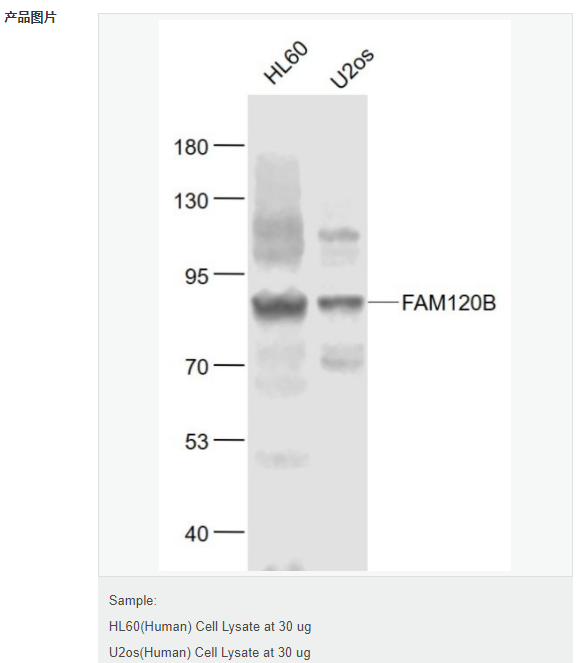 6076aa3005147.png image.png