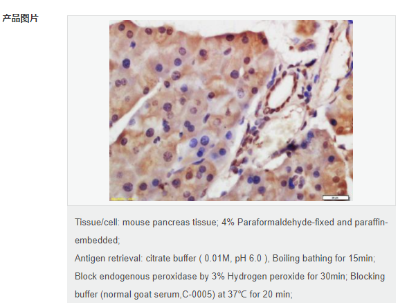 6077924a9bf6b.png image.png