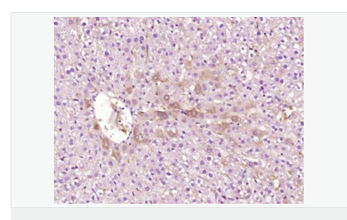 6077958c601c5.png image.png