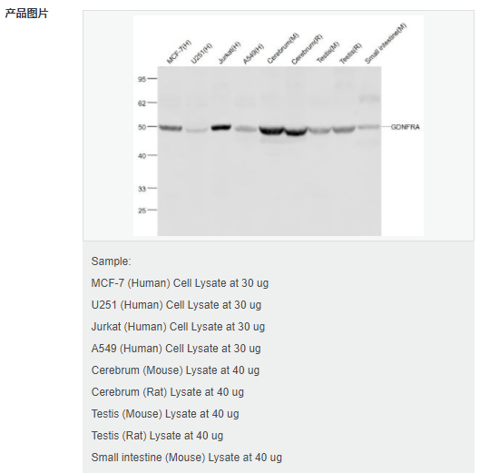 607954c22dbe8.png image.png