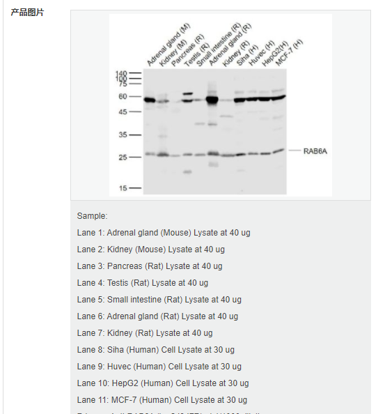 607d1989127f4.png image.png