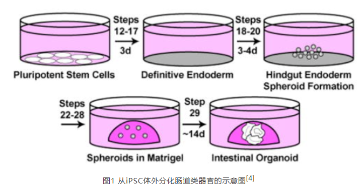 675b8df676351.png image.png